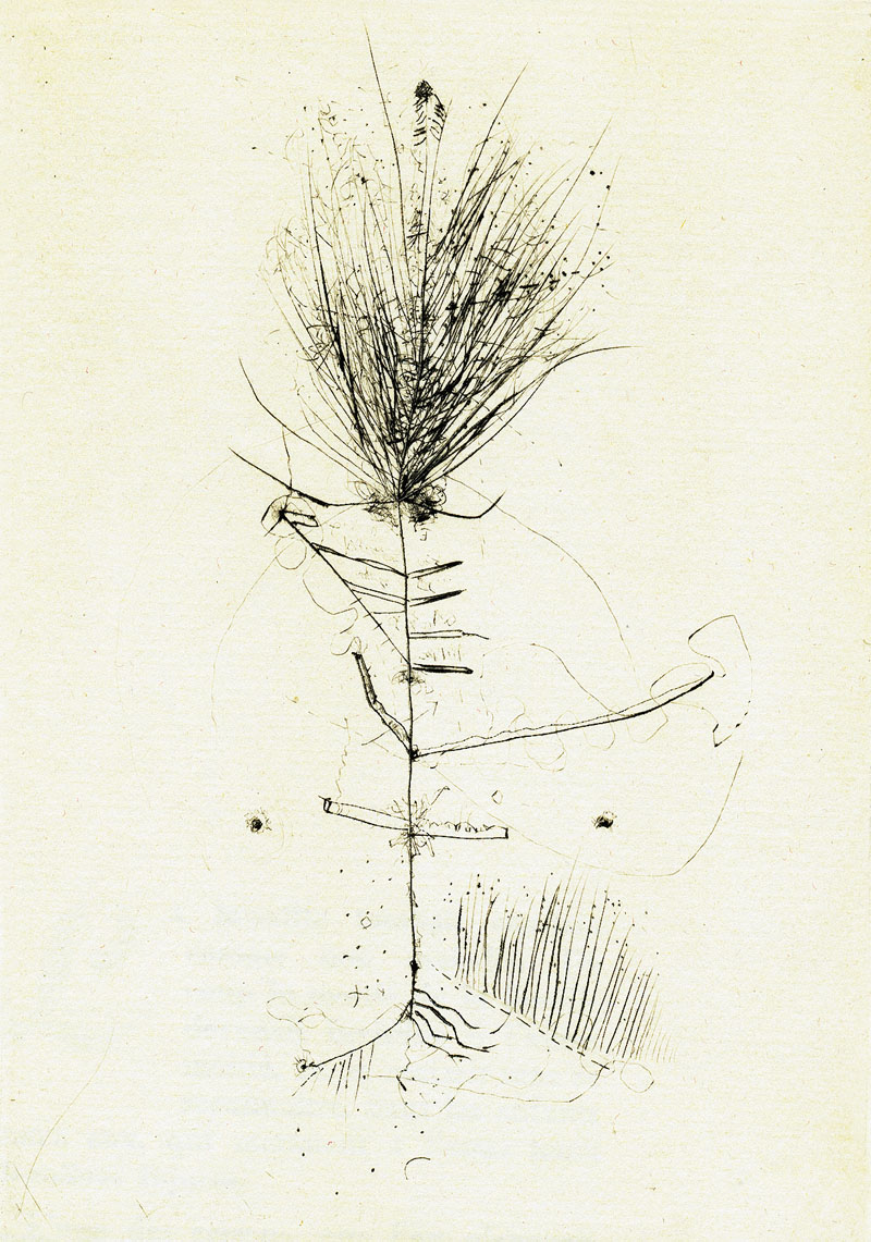 WolsPaulhan_Baum_800.jpg